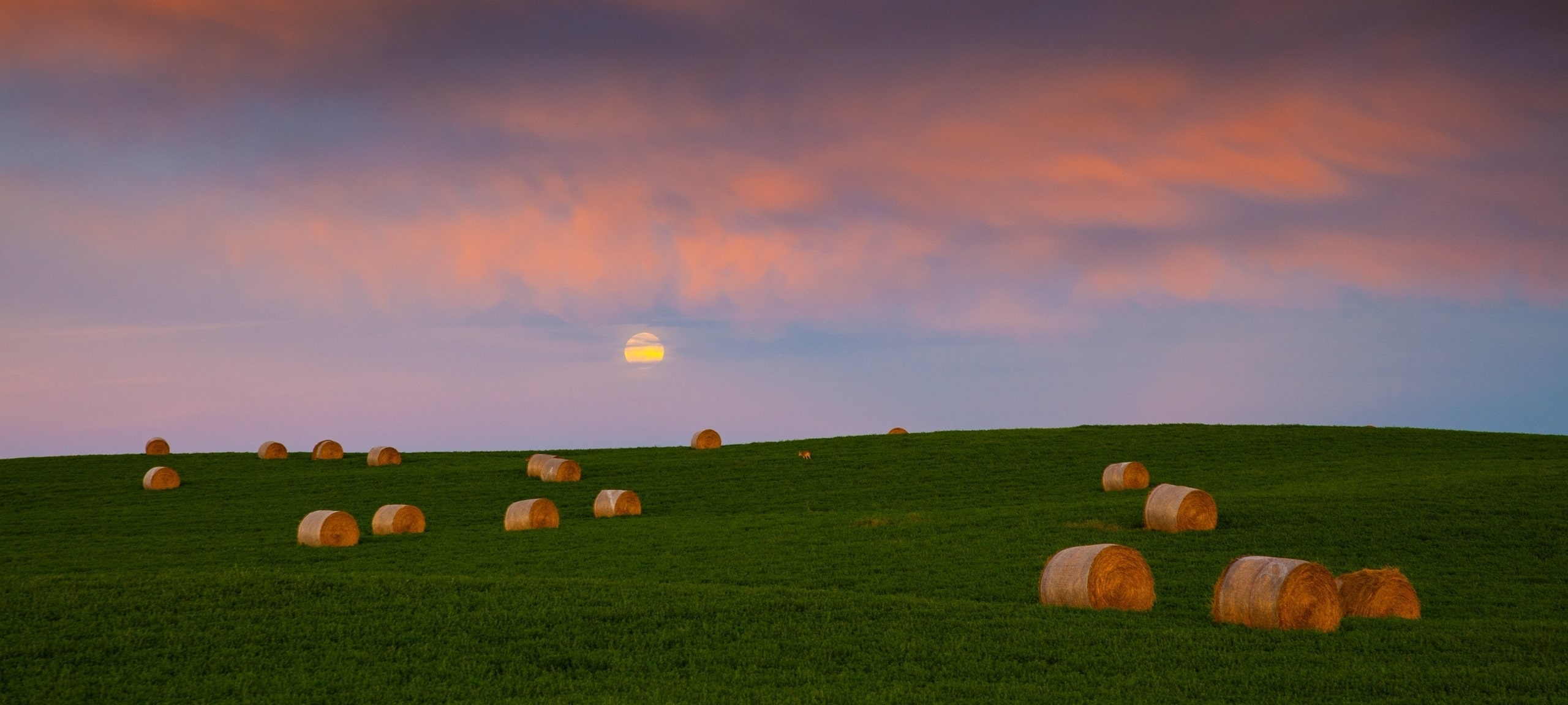 Farmland and Acreages For Sale In Central Alberta Keller Walker Real