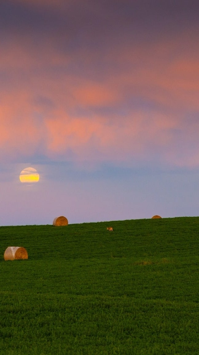 Farmland and Acreages For Sale In Central Alberta Keller Walker Real